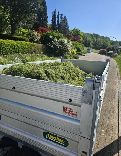 Fachgerechte Gartenpflege und Grünschnittentsorgung – Hausmeisterservice Baden hält Außenanlagen gepflegt