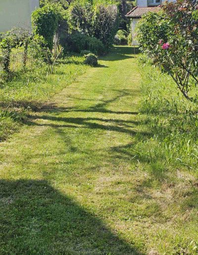 Gepflegte Grünflächen und sauber gemähter Rasen – Hausmeisterservice Baden für Ihren Garten