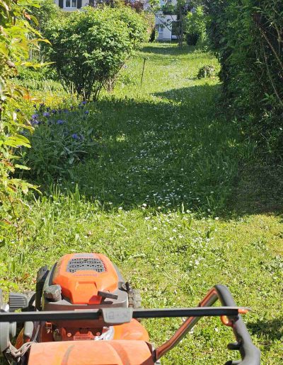 Professionelle Gartenpflege und Rasenmähen – Hausmeisterservice Baden bringt Ihren Garten in Bestform