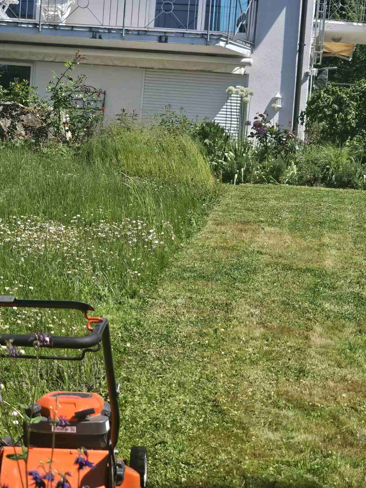 Sauber gemähter Rasen und gepflegte Gartenflächen – Hausmeisterservice Baden bringt Ordnung ins Grün Sauber gemähter Rasen und gepflegte Gartenflächen – Hausmeisterservice Baden bringt Ordnung ins Grün