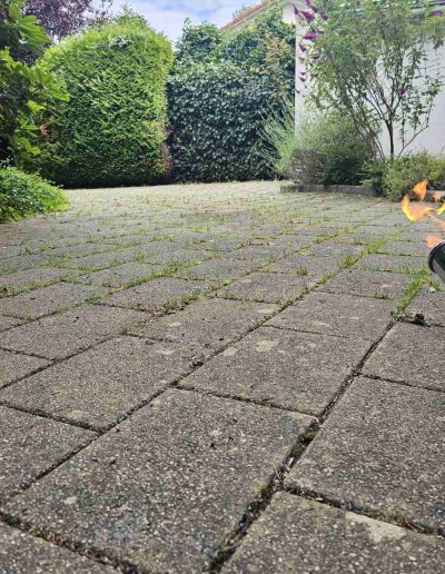 Saubere Pflasterflächen und gründliche Unkrautentfernung – Hausmeisterservice Baden pflegt Ihre Außenbereiche professionell