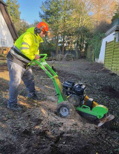 Präzise Baumstumpfentfernung mit Stubbenfräse – Hausmeisterservice Baden arbeitet sauber und effizient