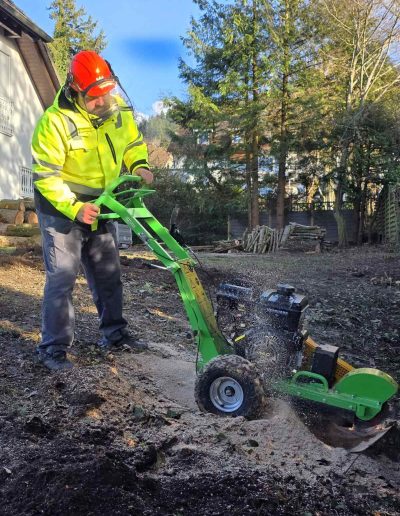 Effiziente Baumstumpfentfernung mit moderner Frästechnik – Hausmeisterservice Baden im professionellen Einsatz