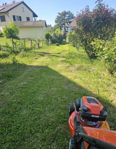 Professionelle Rasenpflege und Gartenservice – Hausmeisterservice Baden sorgt für gepflegte Grünflächen