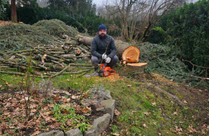 Gartenpflege Hausmeisterservice Baden Wurzeln Baumstump entfernung mit Baumstumpffräse